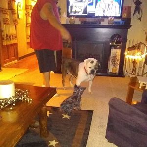 Meet your Posher, Sherri